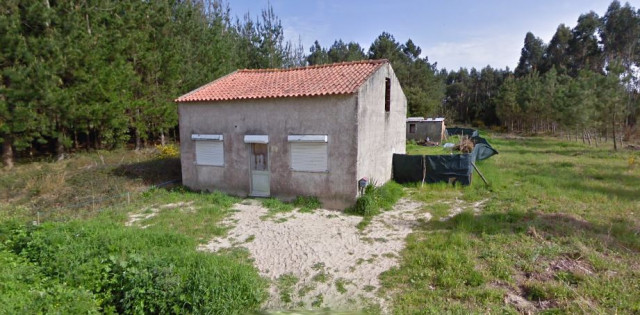 Google Maps
