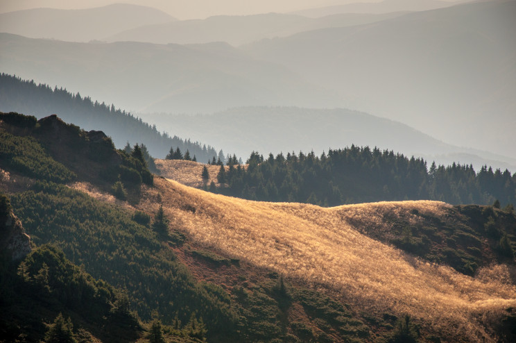 David Marcu/Unsplash