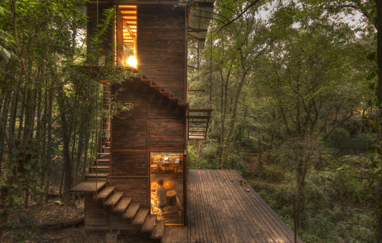 Uma casa que parece uma árvore