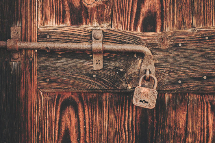 Cristina Gottardi/Unsplash