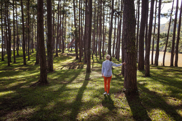 Photo by vadim kaipov on Unsplash