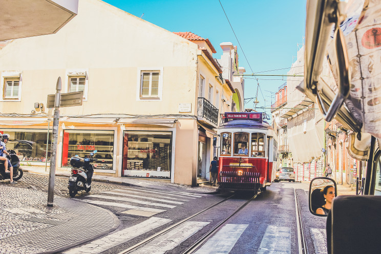Photo by Maclevison Silva on Unsplash