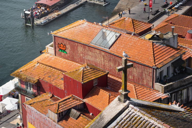 Photo by Daniel Seßler on Unsplash