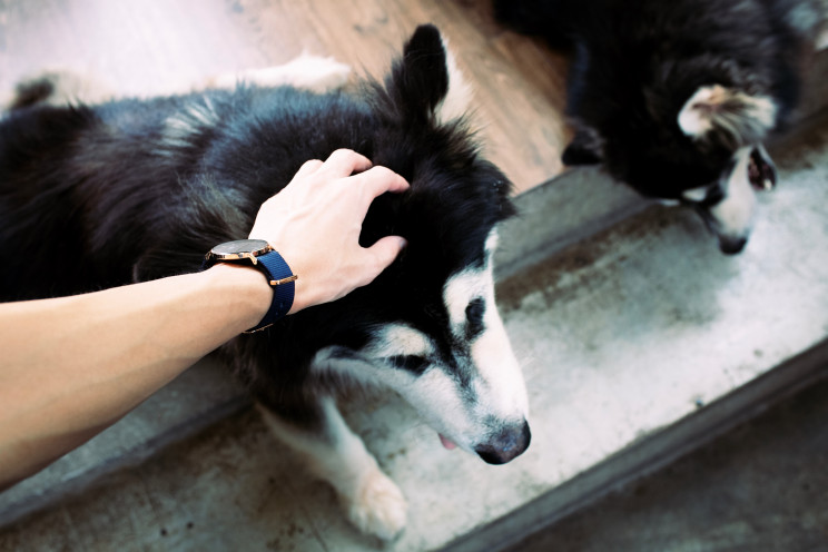 Photo by Nat Weerawong on Unsplash