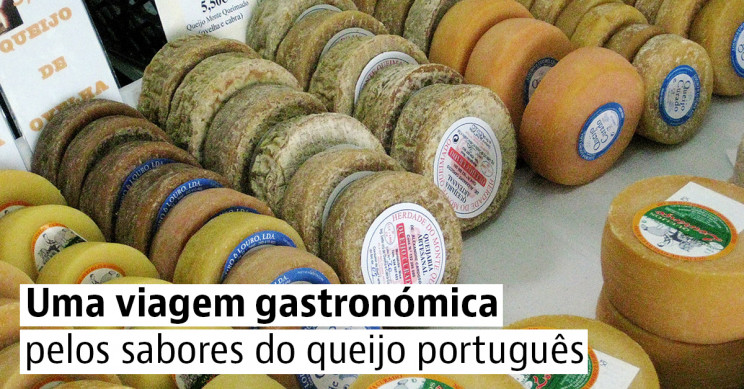 Descobre os queijos portugueses de Norte a Sul do país