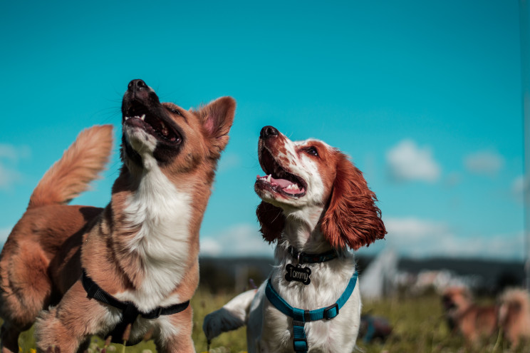 Photo by Camilo Fierro on Unsplash