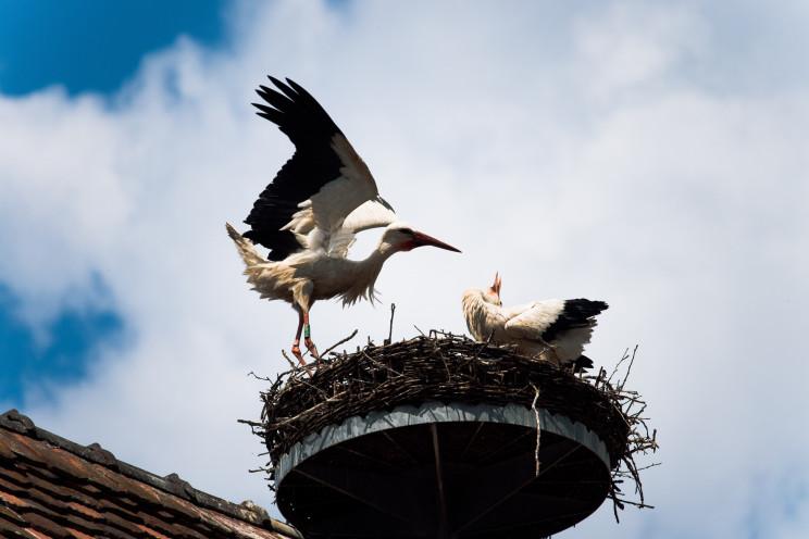 Photo by Jeremy Wermeille on Unsplash