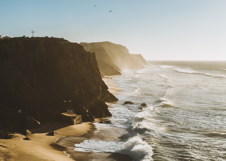 Photo by Ricardo Teixeira on Unsplash