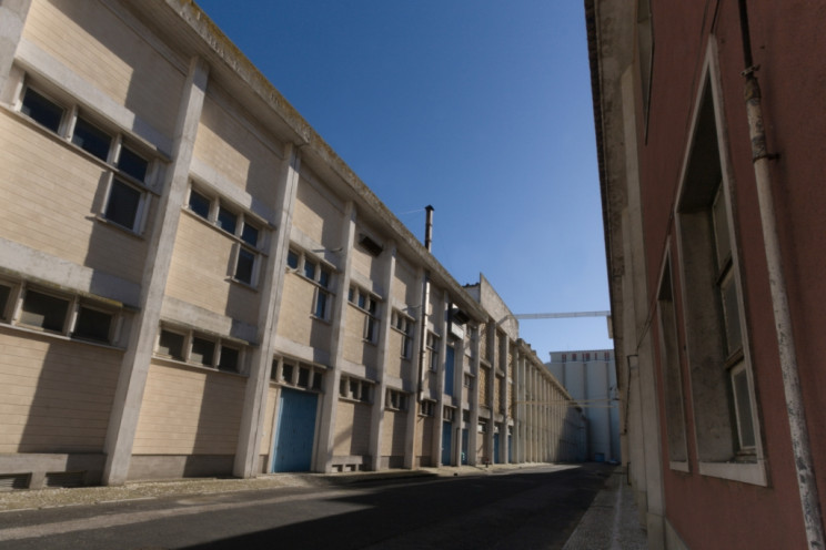 Trienal de Lisboa