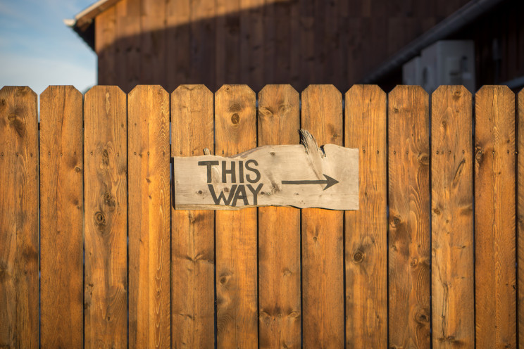 Photo by Jamie Templeton on Unsplash
