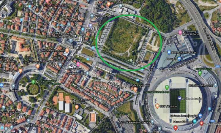 Google Maps