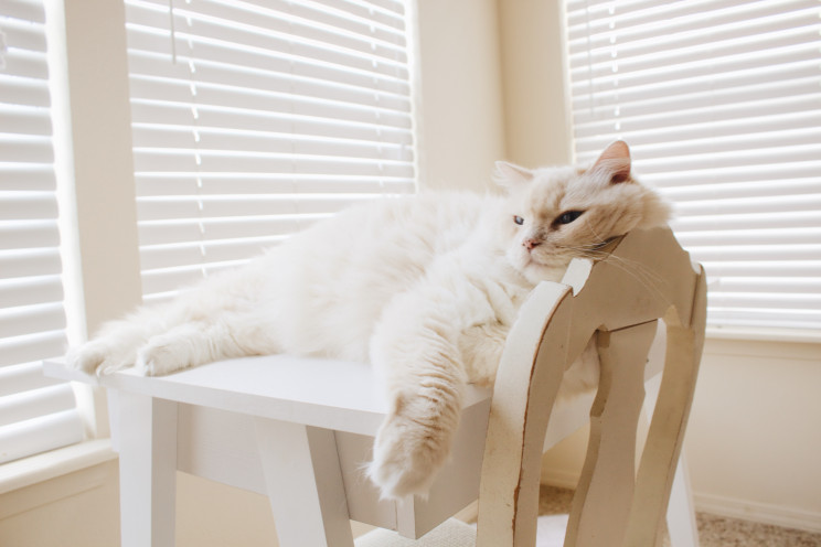 Photo by Izabelle Acheson on Unsplash