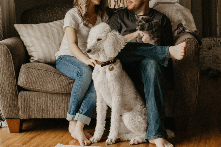 Photo by sarandy westfall on Unsplash