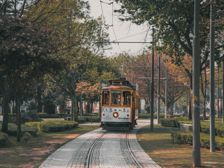 Photo by Siddhant Kumar on Unsplash