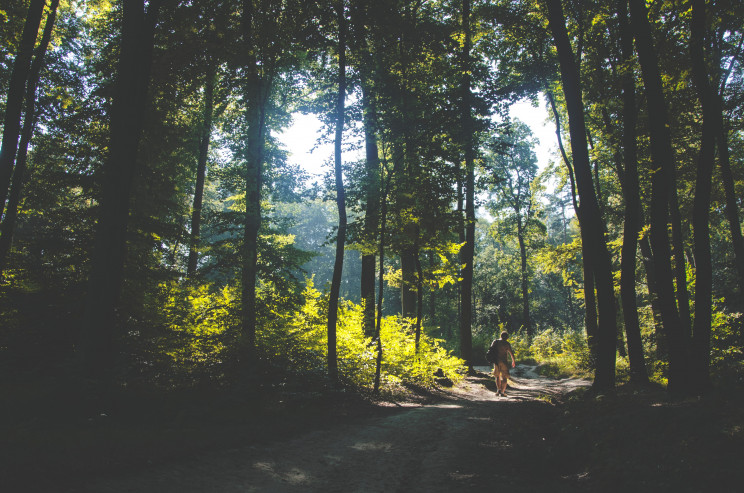 Sylwia Bartyzel on Unsplash