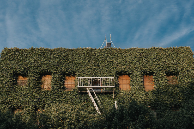 Unsplash