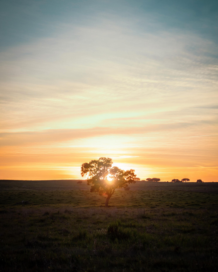 Bruno Mira on Unsplash