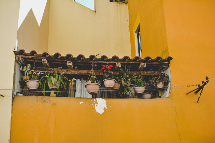 Photo by Katarzyna Grabowska on Unsplash