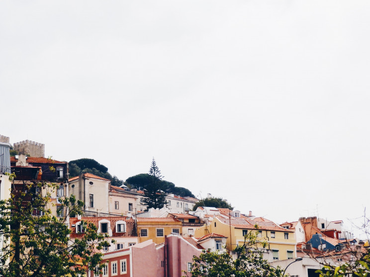 Photo by Luisa Azevedo on Unsplash