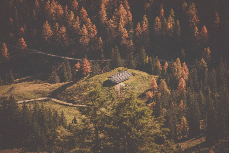 Photo by Thomas Griesbeck on Unsplash