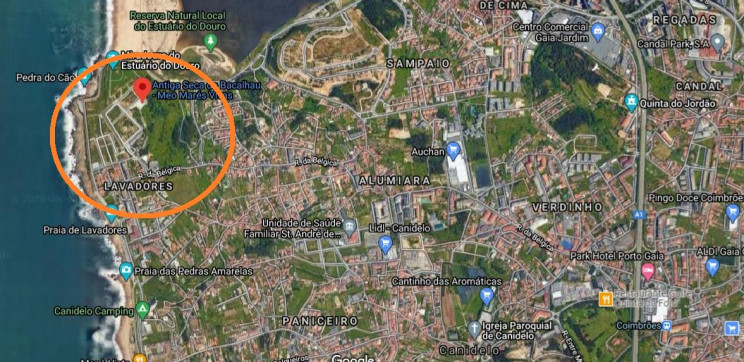 Google Maps