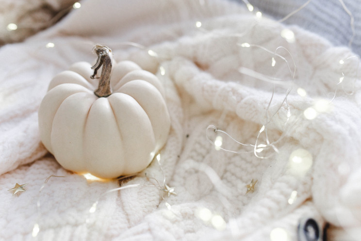Photo by Paige Cody on Unsplash