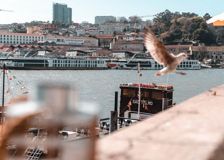 Photo by Joan Villalon on Unsplash