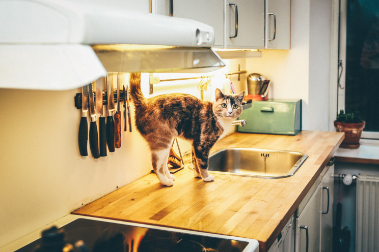 Photo by Nick Karvounis on Unsplash