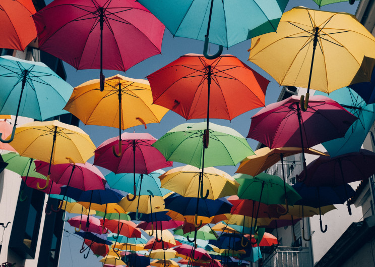 Photo by Ricardo Resende on Unsplash