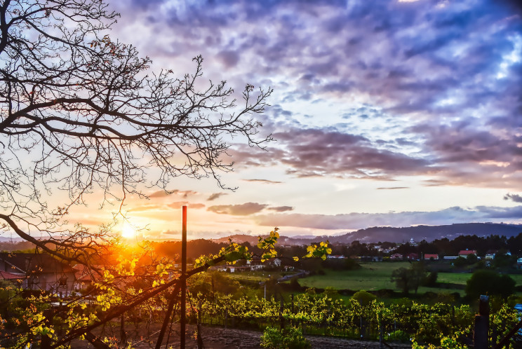 Imagem de Manuel Araújo por Pixabay