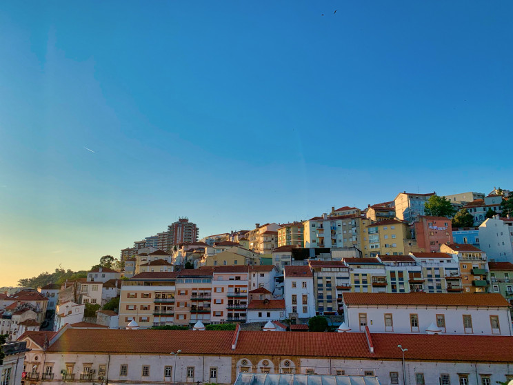 Photo by Egor Kunovsky on Unsplash