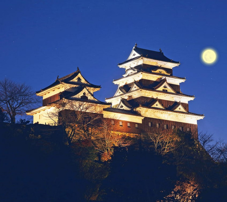 ozucastle.com
