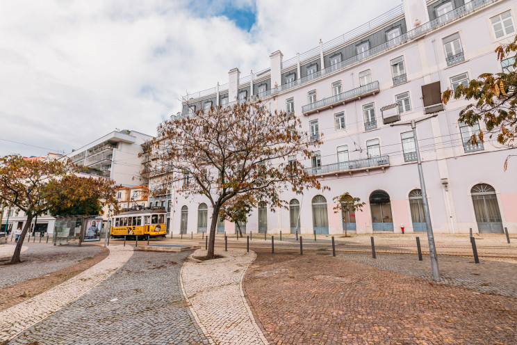Photo by Freguesia de Estrela on Unsplash
