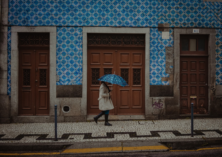 Photo by Sava Bobov on Unsplash