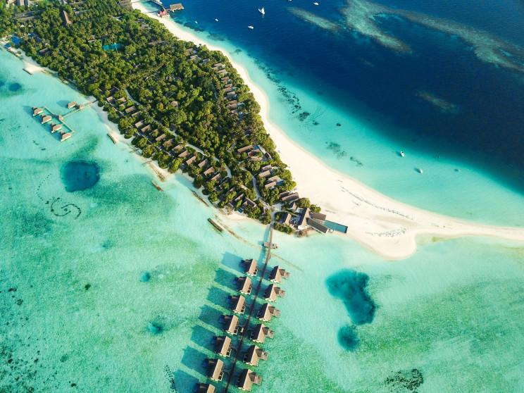 Photo by Shaah Shahidh on Unsplash