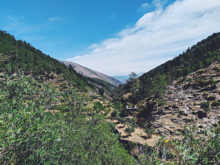 Photo by Olivier Legrand on Unsplash