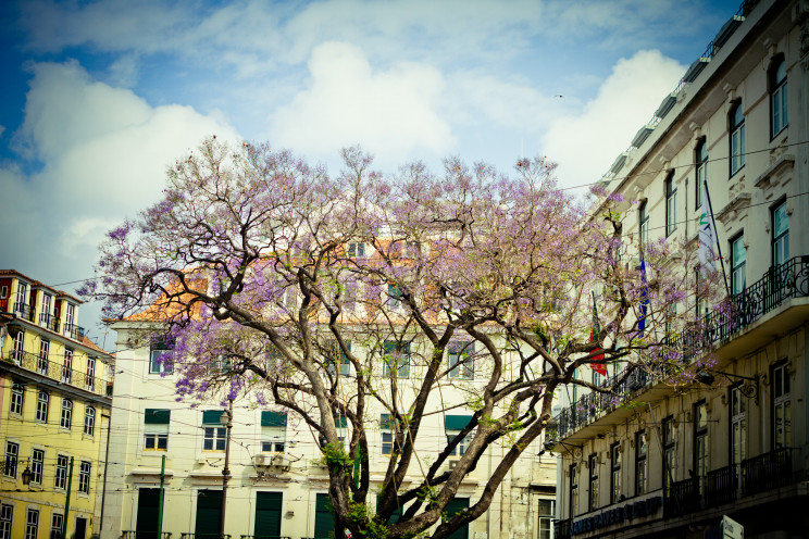 Photo by Raimond Klavins on Unsplash