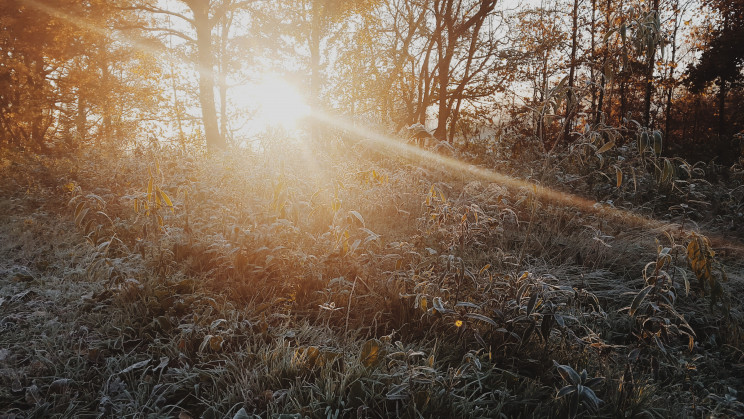 Photo by Grzegorz Mleczek on Unsplash