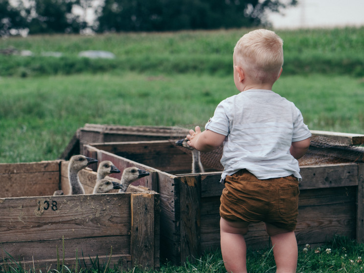Photo by Krzysztof Kowalik on Unsplash