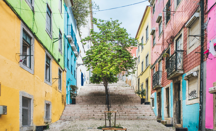 Photo by pixpoetry on Unsplash