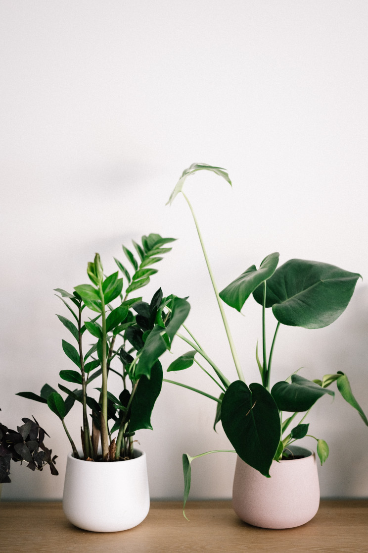 Photo by Annie Spratt on Unsplash