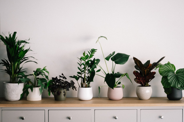 Photo by Annie Spratt on Unsplash