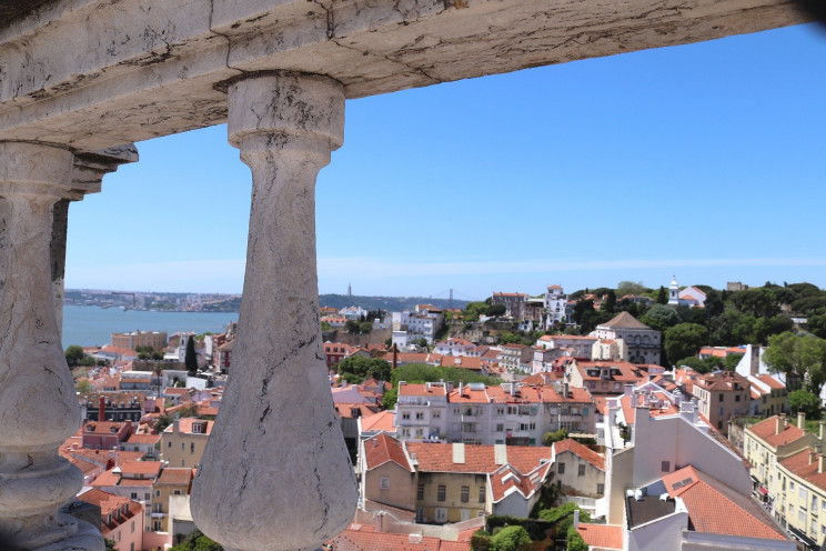 Imagem de birgl por Pixabay
