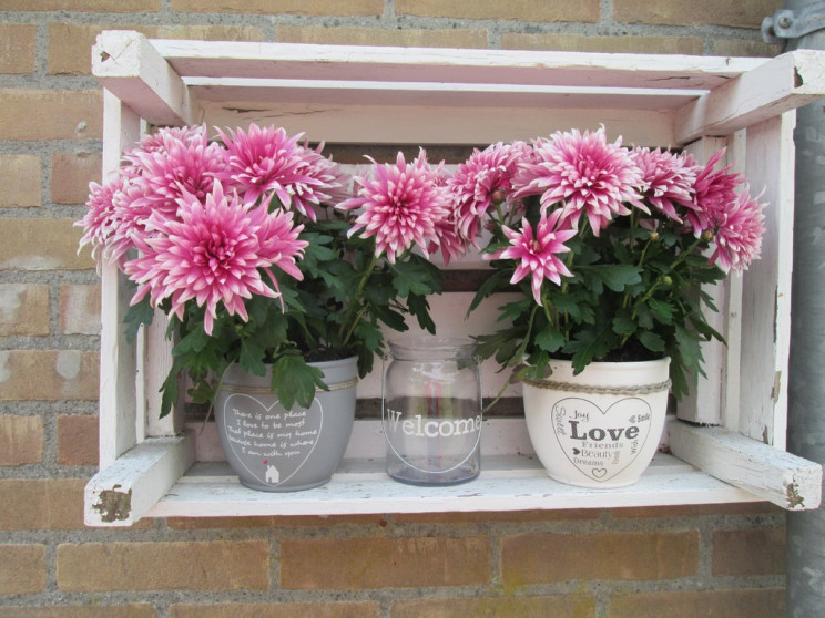 Decorar o terraço com flores