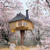 Casas nas árvores: sonho ou realidade? (fotos) 