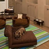 Decoração: como criar um espaço para os animais de estimação (fotos)