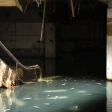 Um centro comercial abandonado converte-se num aquário urbano secreto cheio de peixes (fotos)