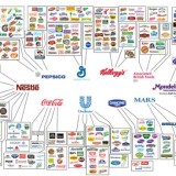 Radiografia do dia: As 10 empresas que controlam a tua alimentação