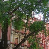 Obras no Edifício Castilho 15 suspensas devido ao acidente que provocou um morto