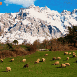 Aldeia com vistas espetaculares para os Picos da Europa está à venda por 850 mil euros negociáveis (fotos)